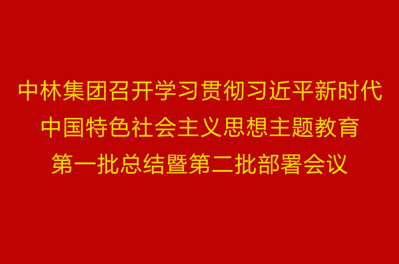 中林集团召开学习贯彻习近平新时代中国特色社会主义思想主题教育第一批总结暨第二批部署会议
