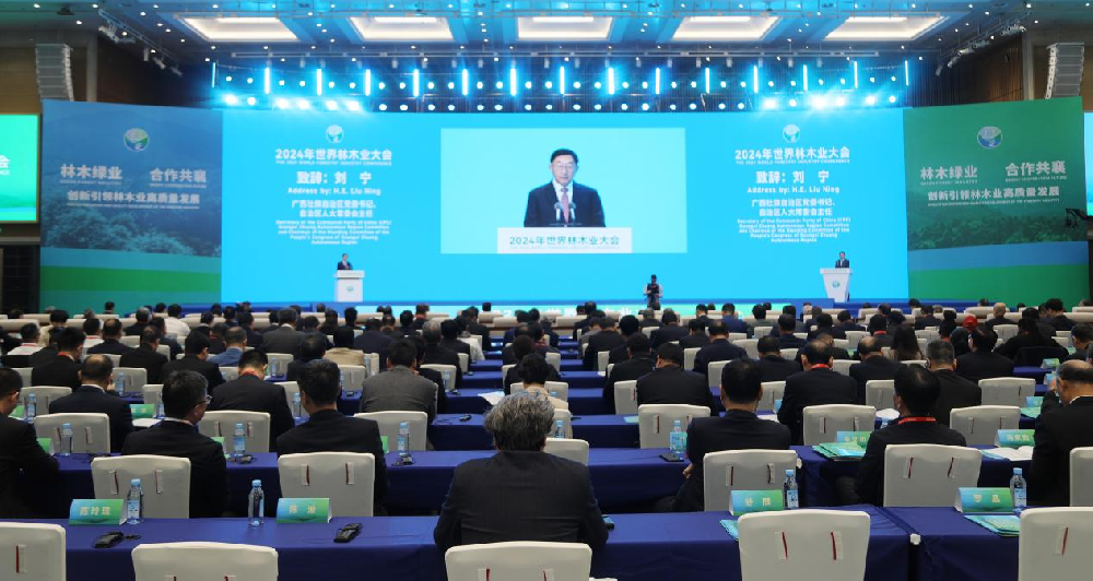 中林集团携多个林木产品亮相2024年世界林木业大会
