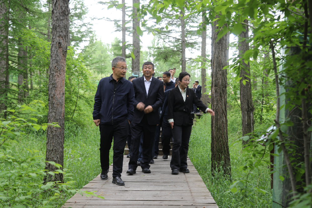 中国林业集团赴塞罕坝林场学习调研