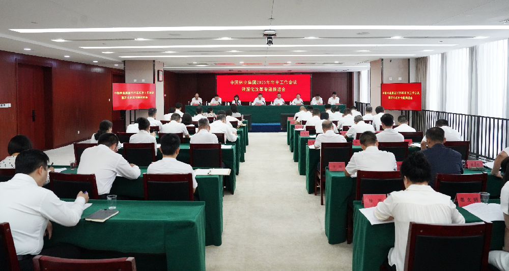 中国林业集团召开2025年年中工作会议暨深化改革专题推进会