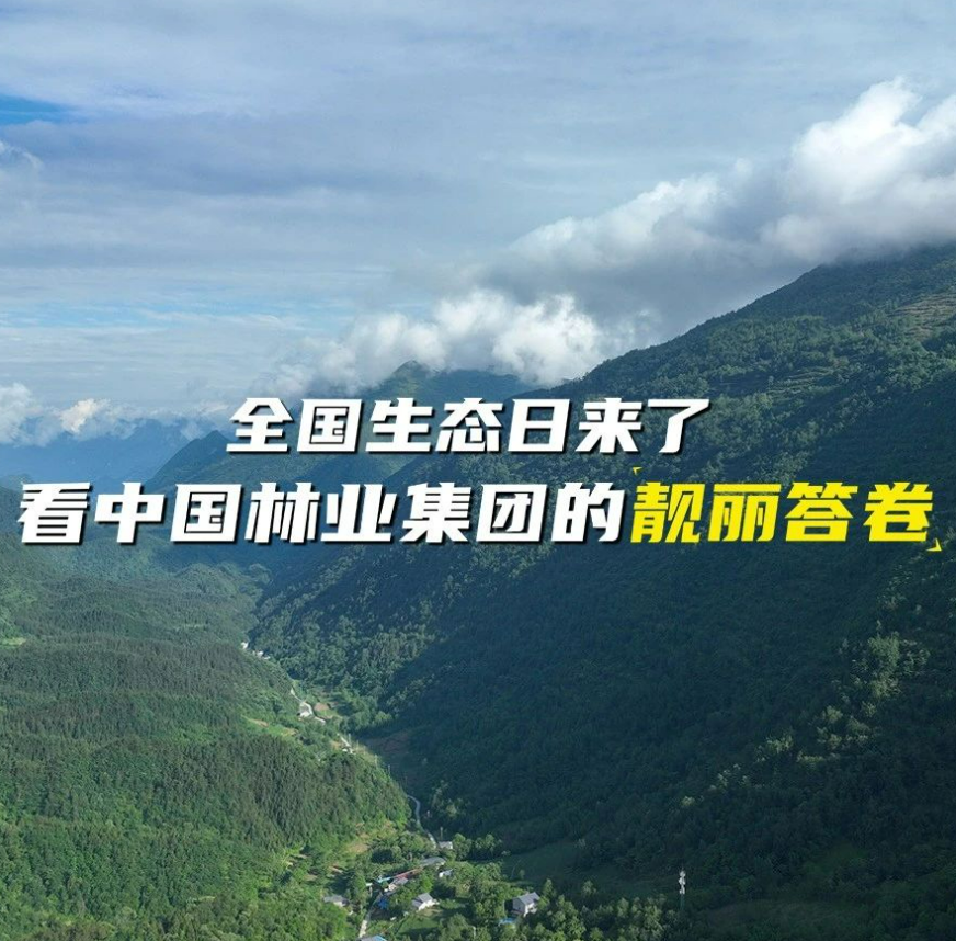 全国生态日来了！看中国林业集团的靓丽答卷