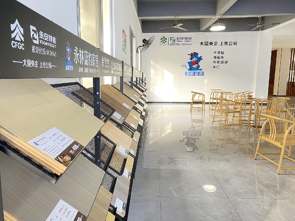 【子企业动态】永林蓝豹“高速”启航，品牌魅力再升级